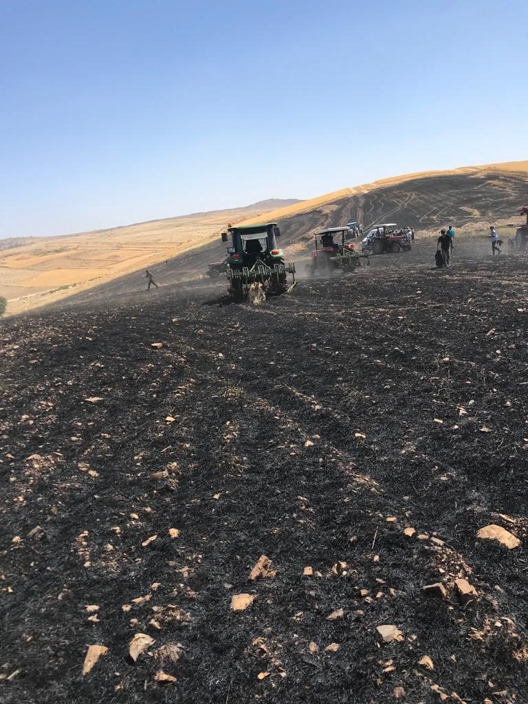 Biçerdöverden çıkan yangın 100 dönümlük buğday tarlasını küle çevirdi