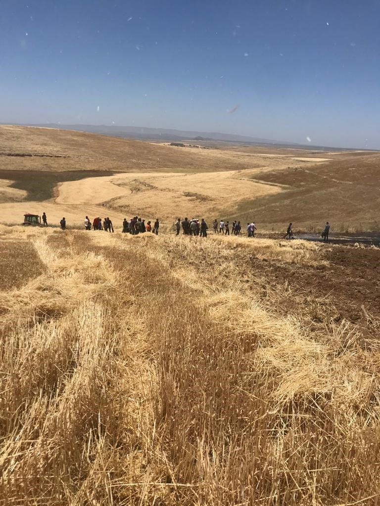 Biçerdöverden çıkan yangın 100 dönümlük buğday tarlasını küle çevirdi