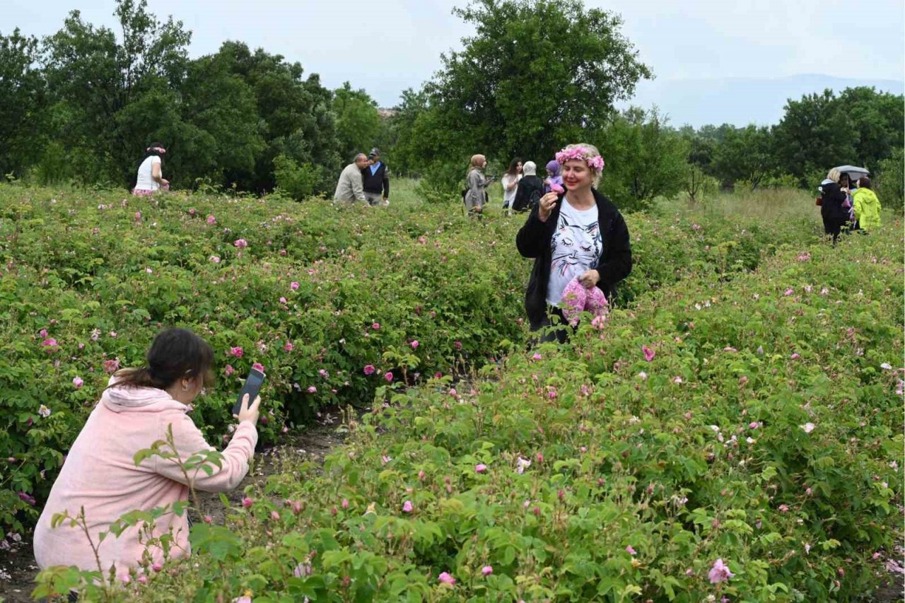 Uluslararası Gül Festivalinde gül toplayıp, gül şehri Isparta’yı tanıdılar