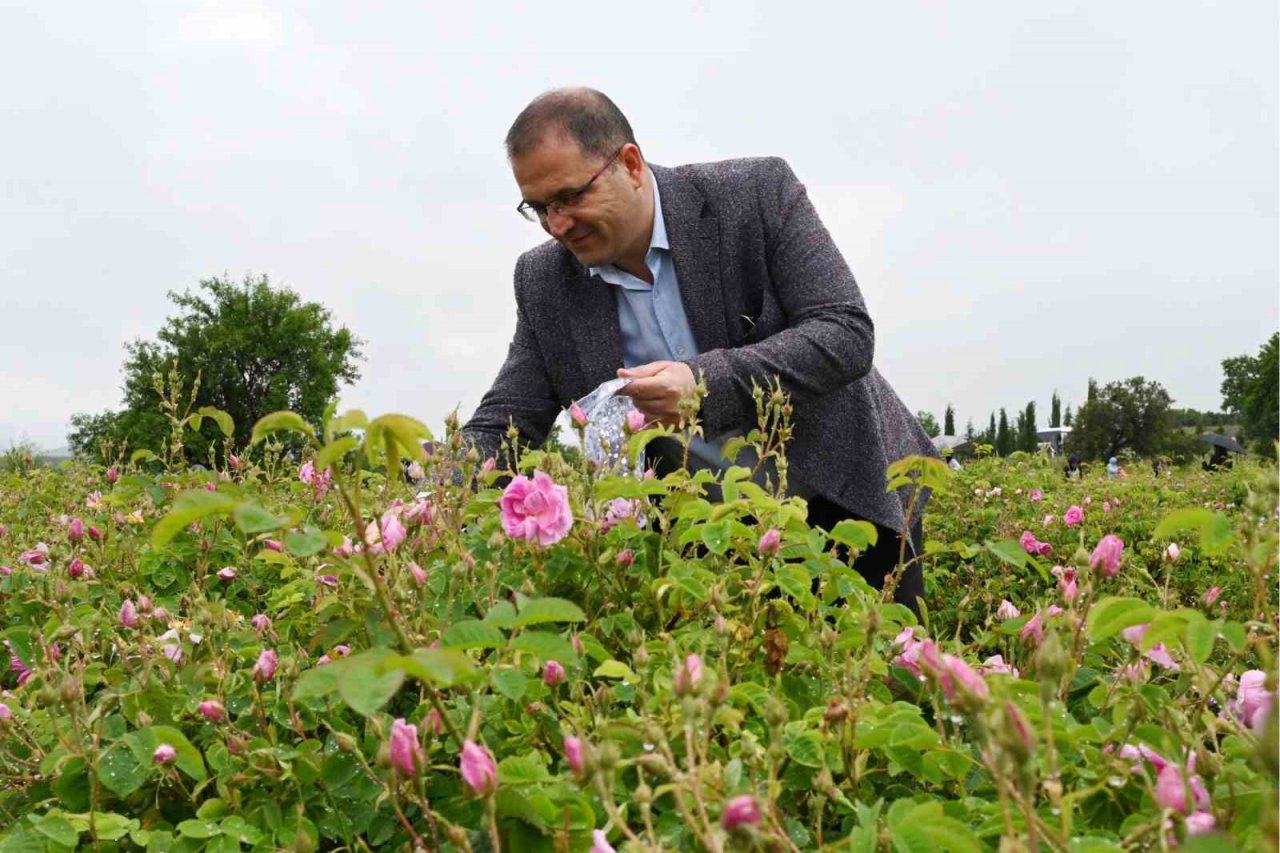 Uluslararası Gül Festivalinde gül toplayıp, gül şehri Isparta’yı tanıdılar