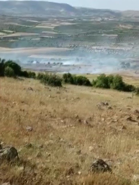 Kilis’te orman ve örtü yangını