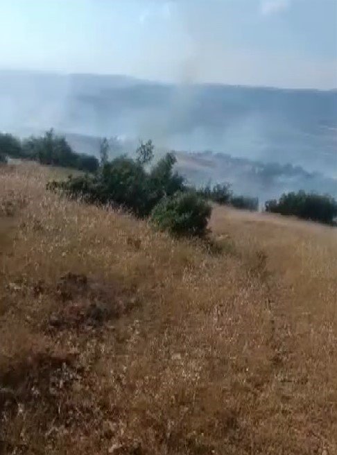 Kilis’te orman ve örtü yangını