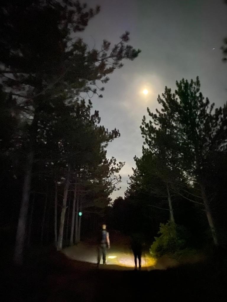 Dolunay ışığında yürüyüp çöp topladılar