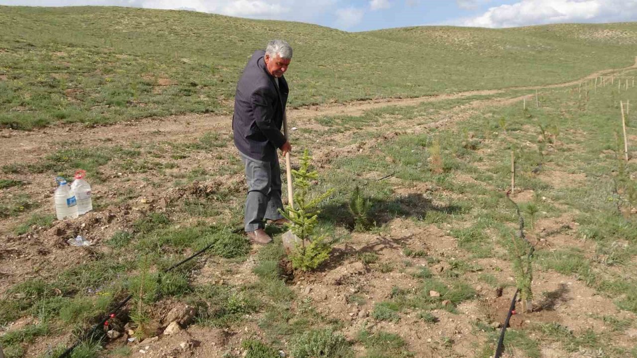 Her yıl binlerce fidanı toprakla buluşturuyor, bozkırı yeşile büründürüyor