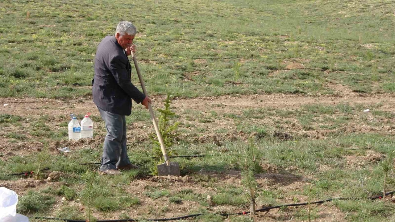 Her yıl binlerce fidanı toprakla buluşturuyor, bozkırı yeşile büründürüyor