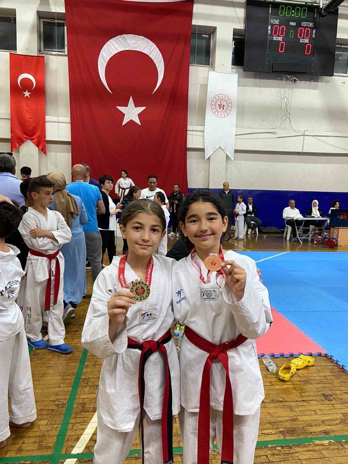 Taekwondo şampiyonasına Alaplı damgası