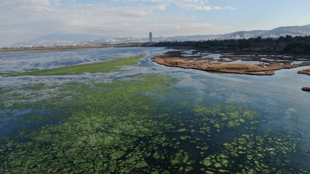 "Deniz marulundan ambalaj" projesine birincilik ödülü