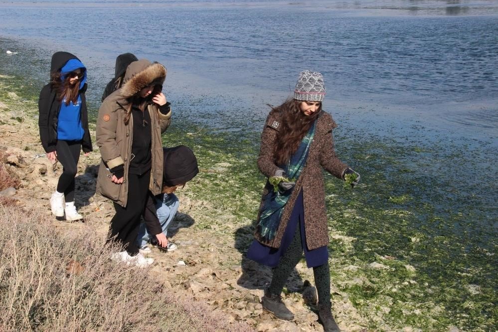 "Deniz marulundan ambalaj" projesine birincilik ödülü