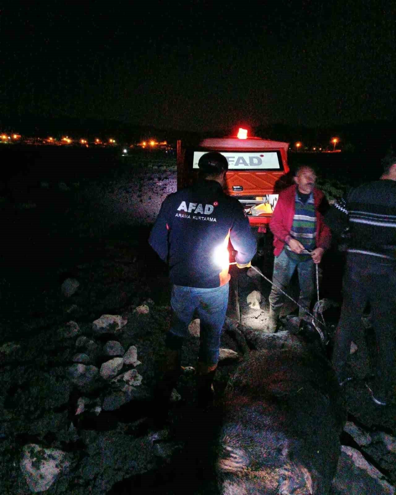 Bataklığa saplanan inek AFAD ekiplerince kurtarıldı