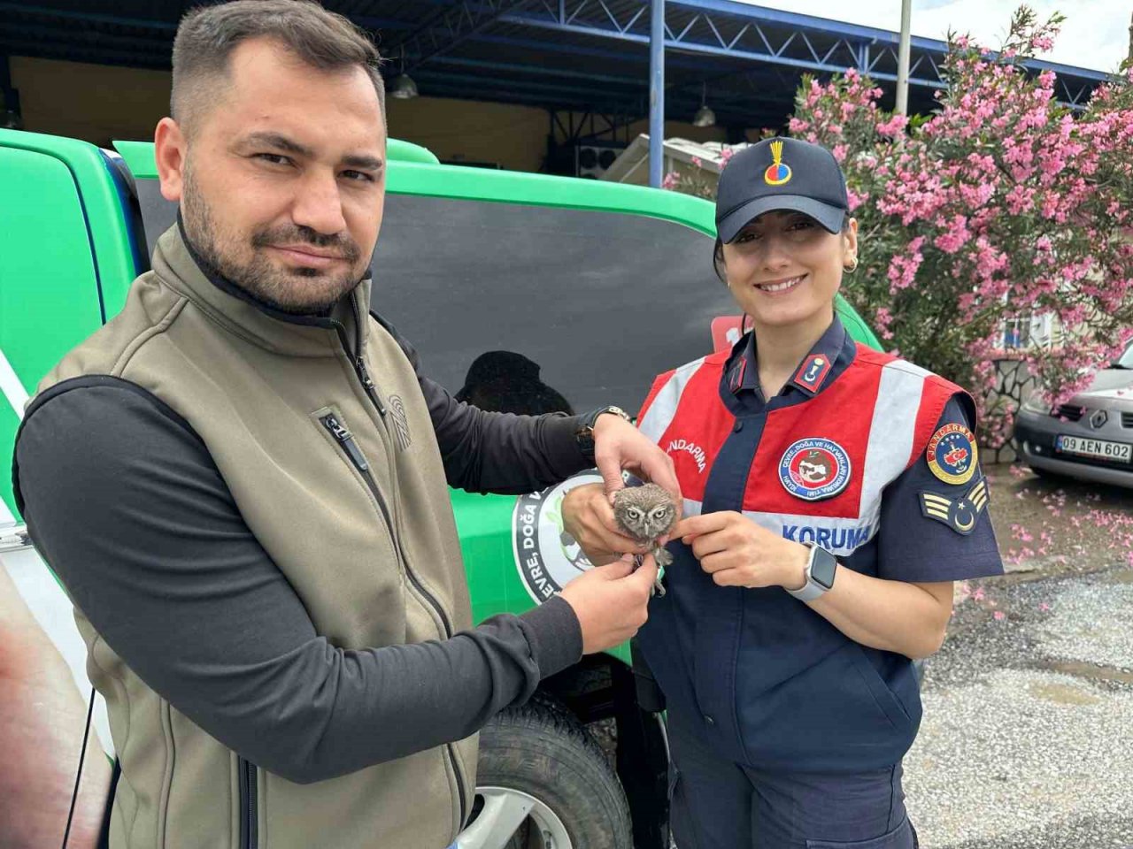 Yavru baykuşa jandarma koruması