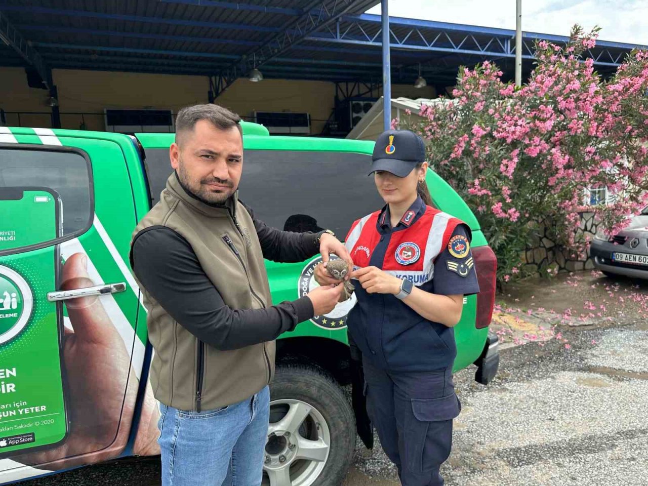 Yavru baykuşa jandarma koruması