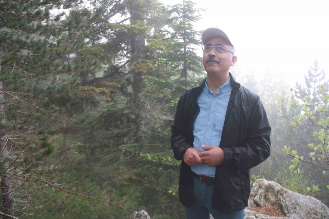 İstanbul’un fethinde rol oynayan Kazdağı Göknarı için gençler doğa yürüyüşü gerçekleştirdi