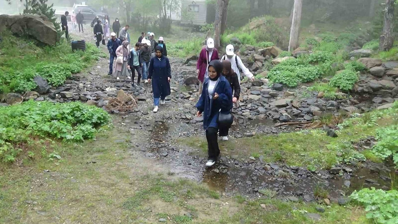 İstanbul’un fethinde rol oynayan Kazdağı Göknarı için gençler doğa yürüyüşü gerçekleştirdi