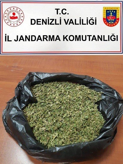 Jandarma 1 milyon 295 bin kök haşhaş bitkisi ele geçirdi