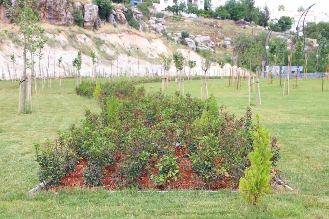 Eğil’de peyzaj çalışmaları 16 bin çalı ve farklı türlerle tamamlandı