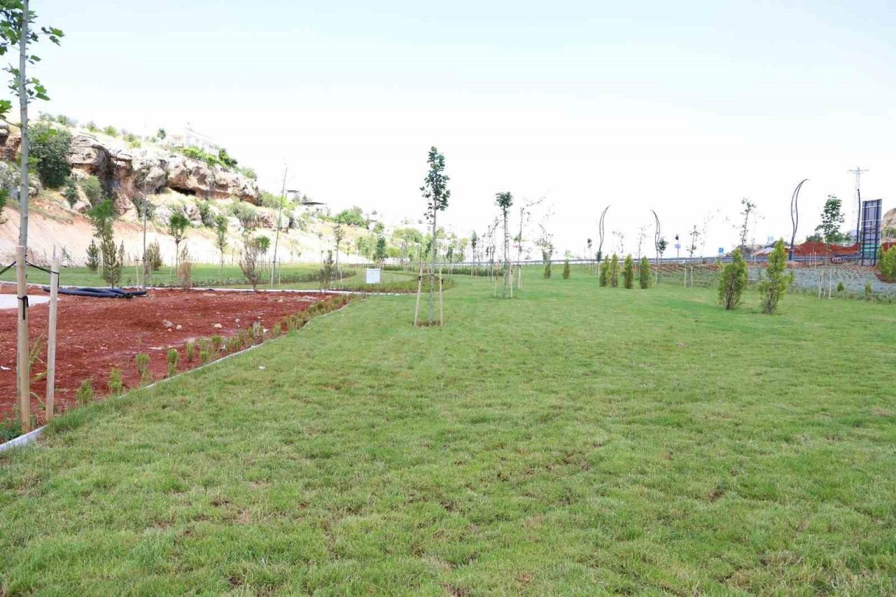 Eğil’de peyzaj çalışmaları 16 bin çalı ve farklı türlerle tamamlandı