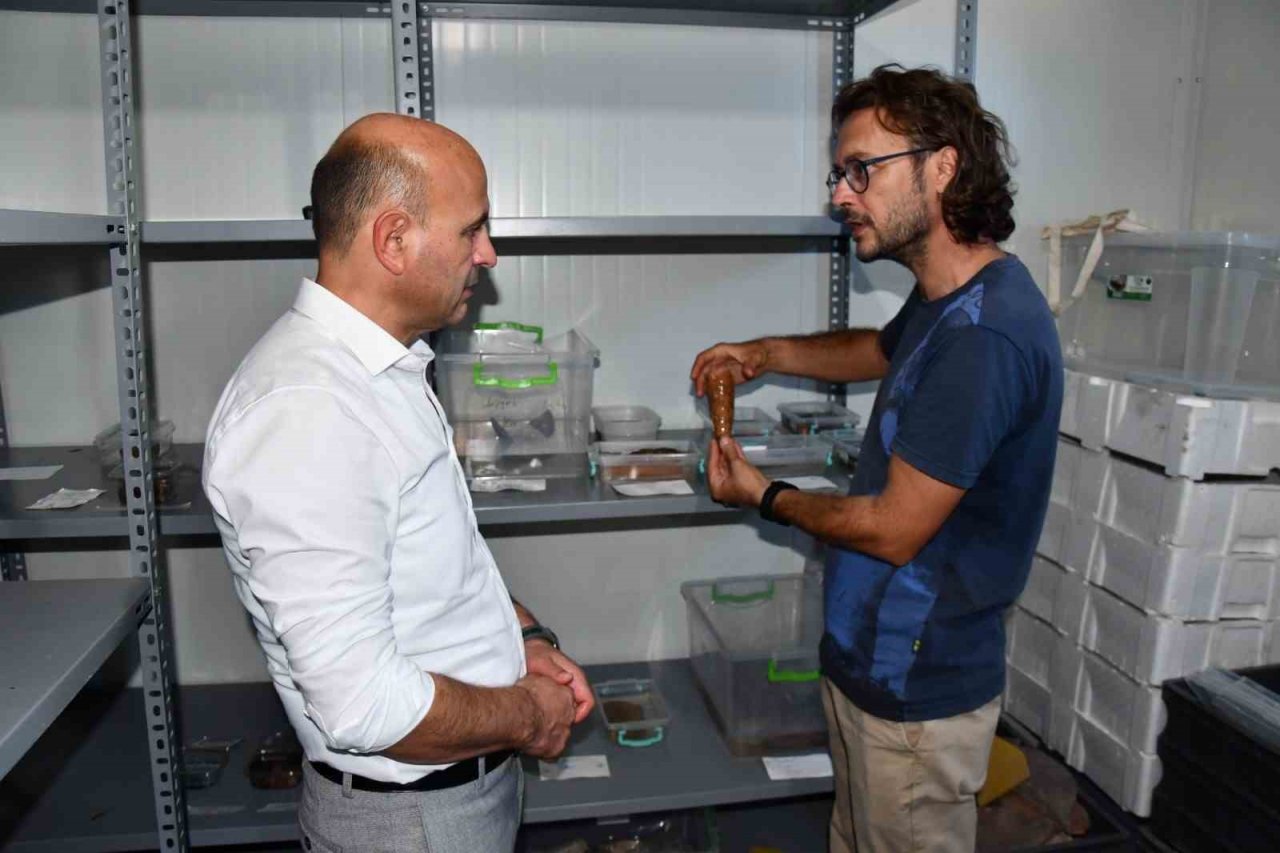 Altınova’da arkeolojik kazılar devam ediyor