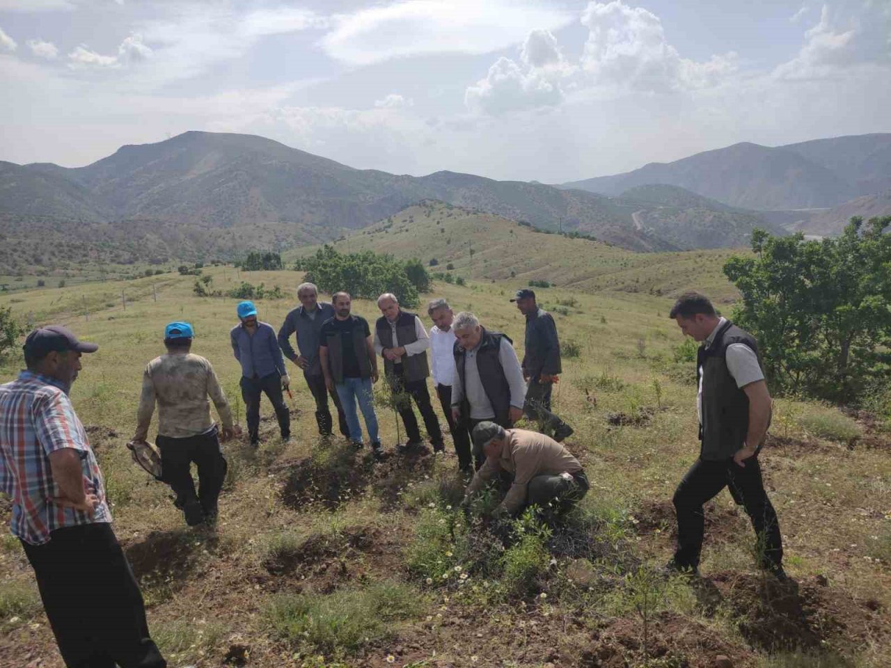 Palu’daki bademler yöre halkına gelir kapısı olacak