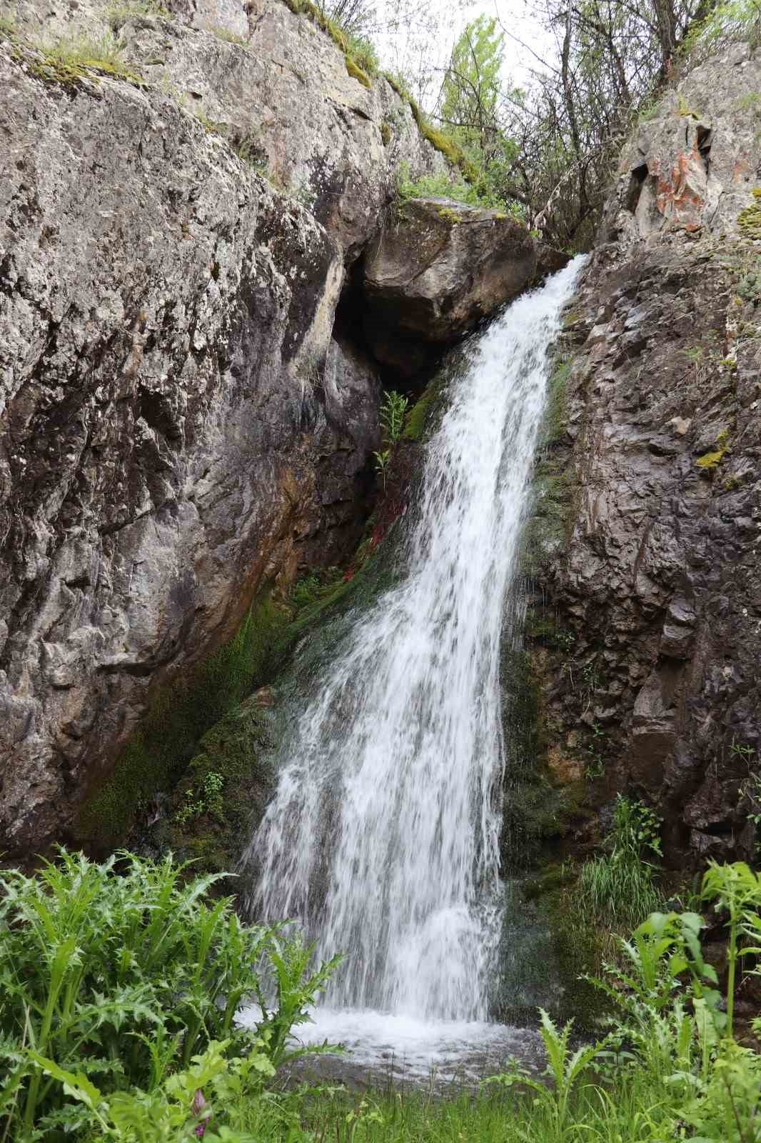 Karnavas şelalesi büyülüyor