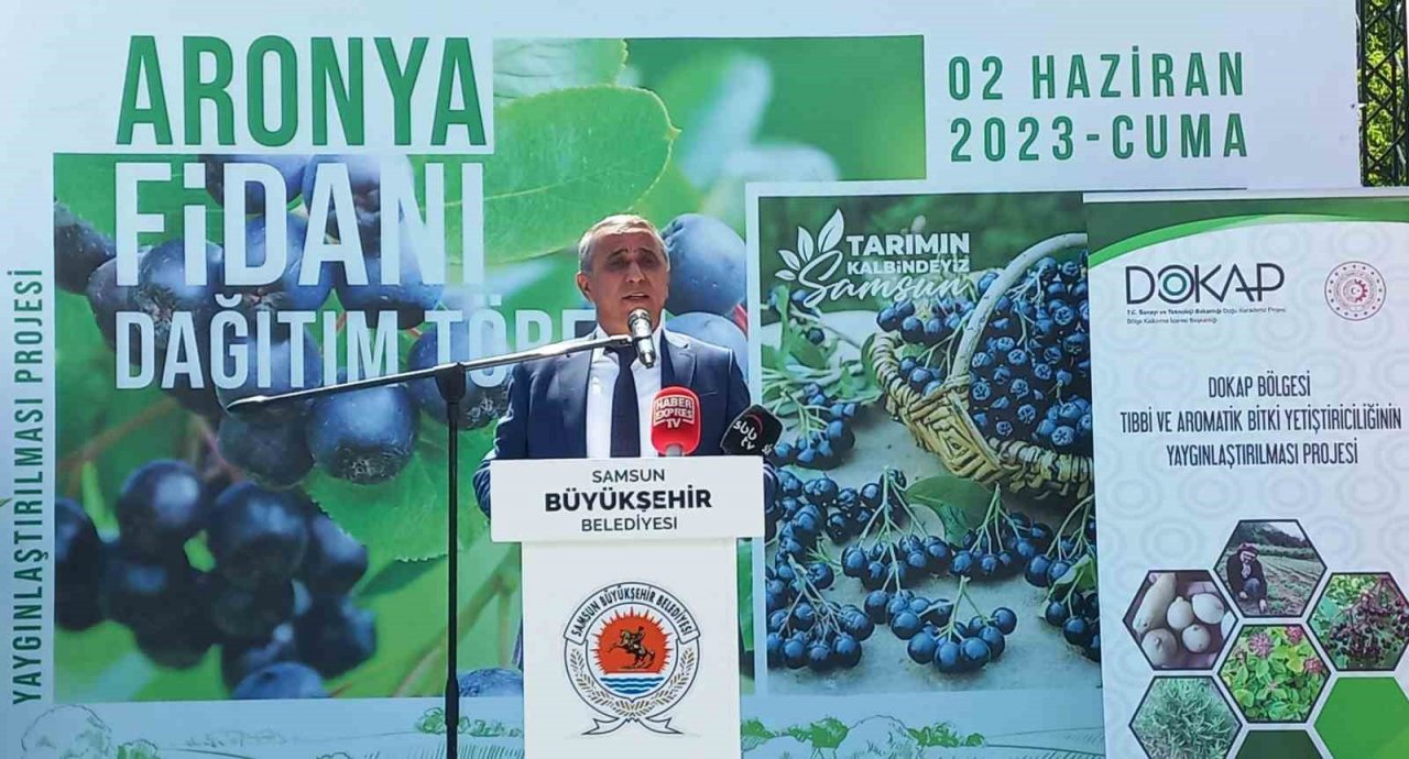Üreticilere ‘aronia’ fidanı dağıtıldı