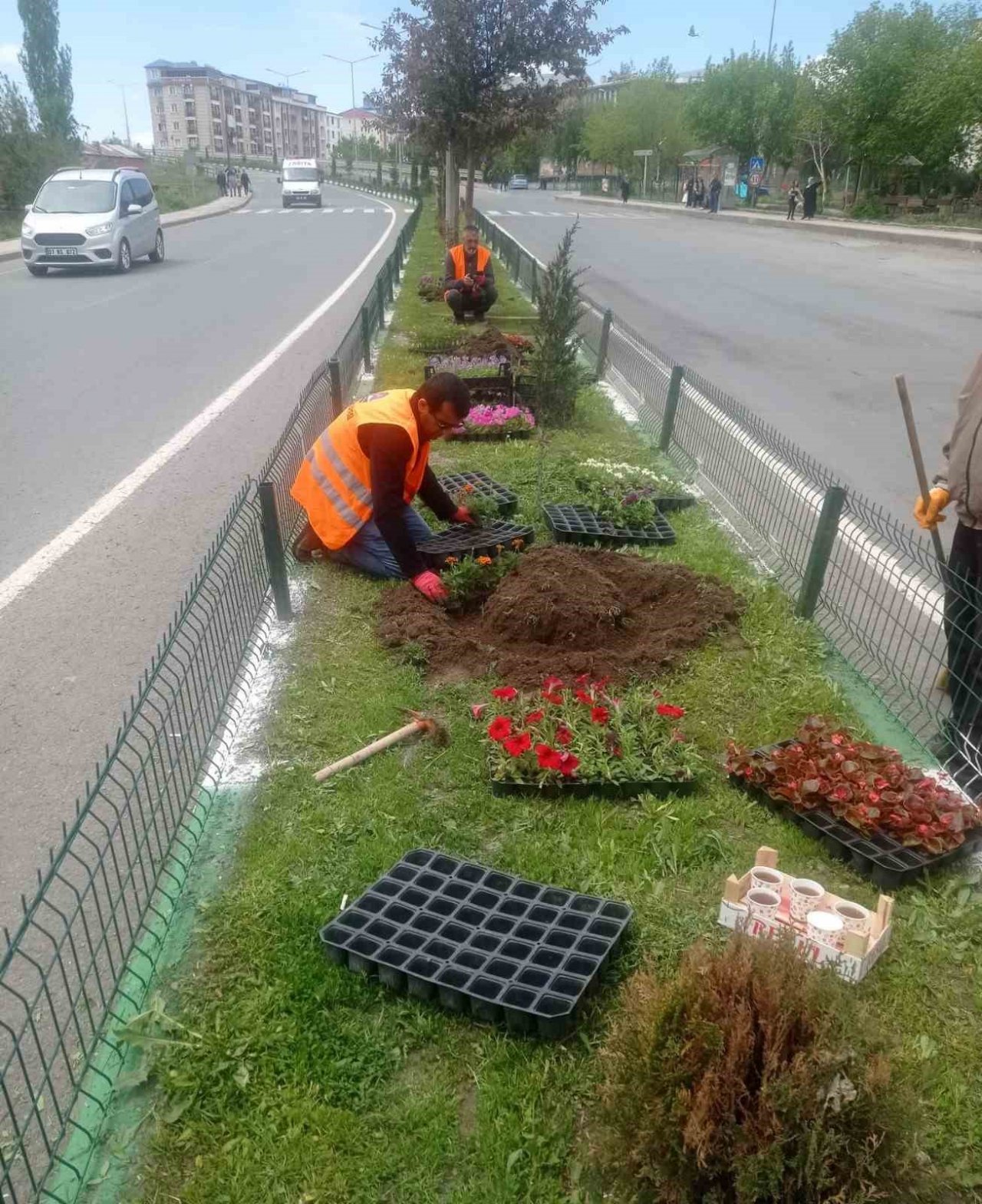 Kars’ta refüjler yeşilleniyor