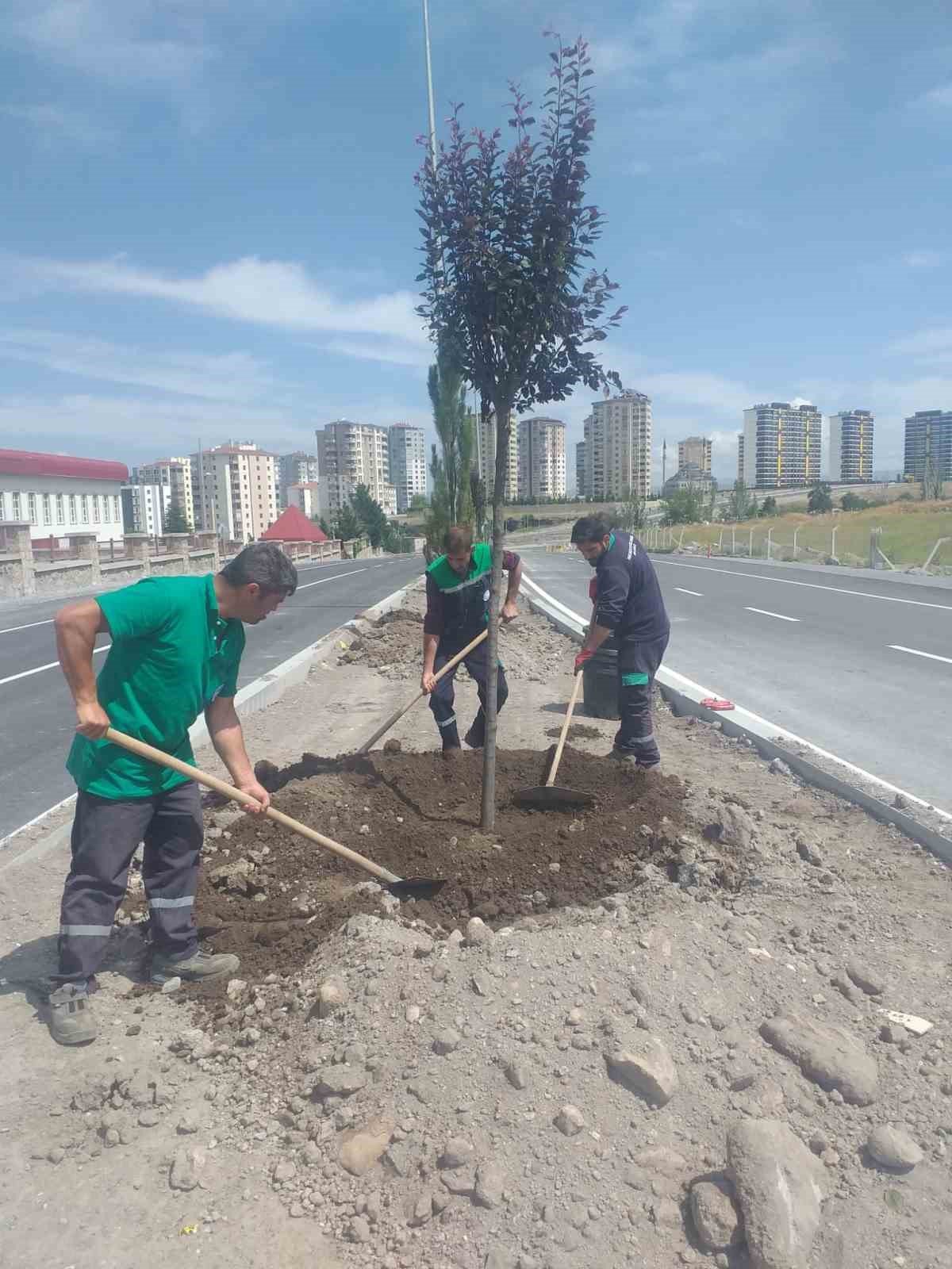 Kayseri Büyükşehir’den mesire alanı, yol ve refüjlere 15 bin, ilçelere 225 bin fidan