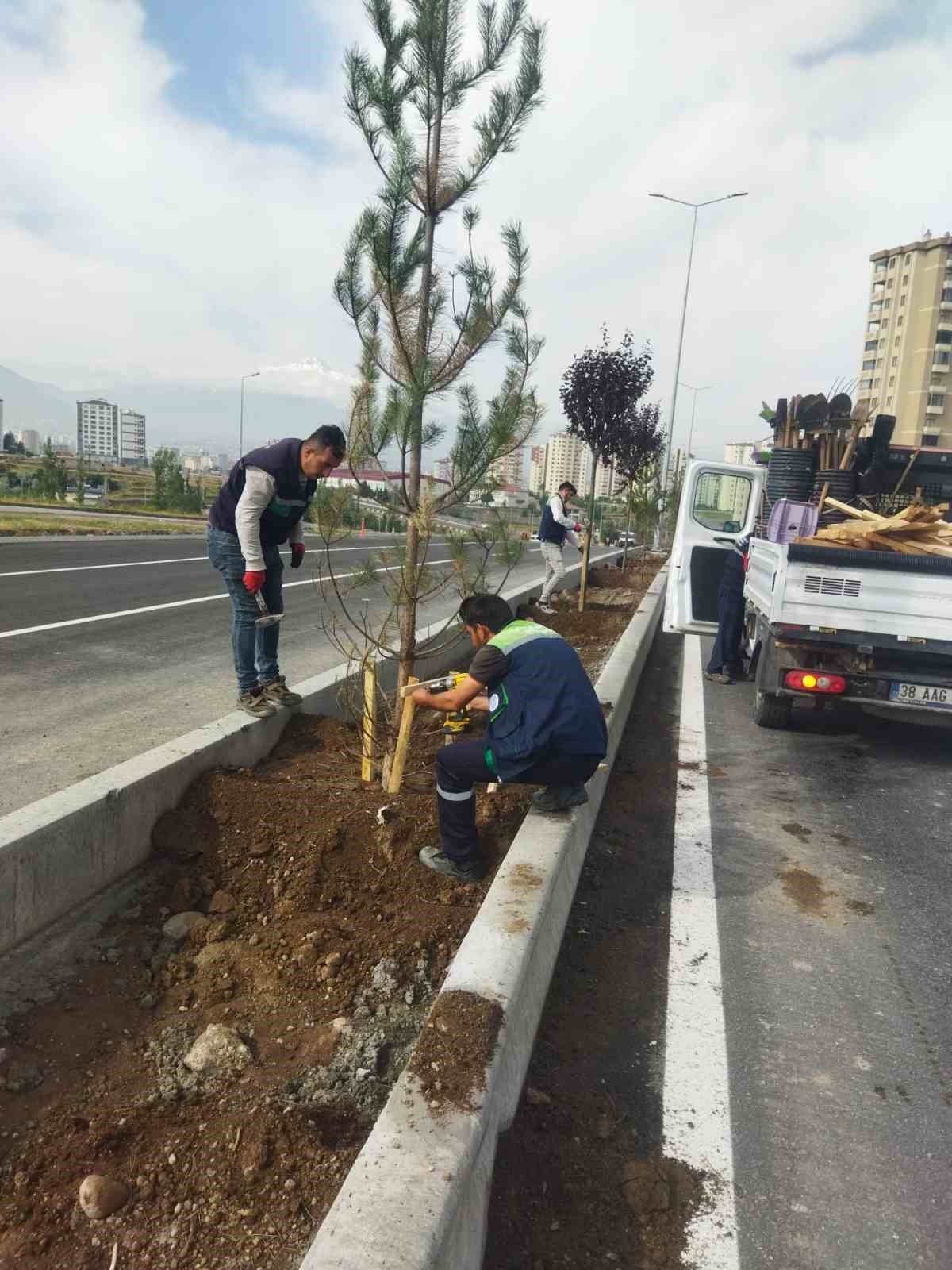 Kayseri Büyükşehir’den mesire alanı, yol ve refüjlere 15 bin, ilçelere 225 bin fidan