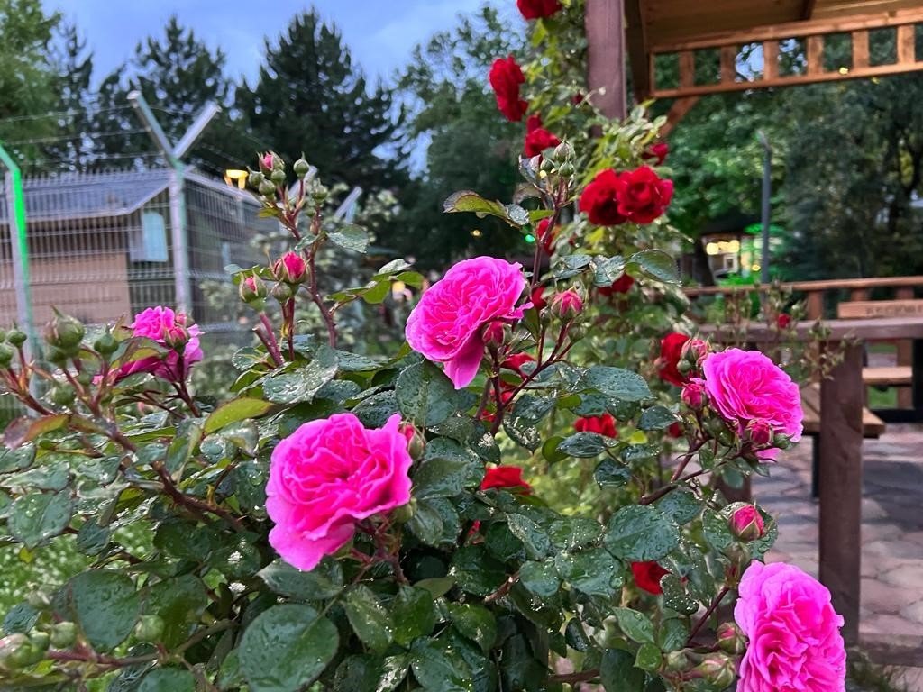 Güller diyarı Keçiören