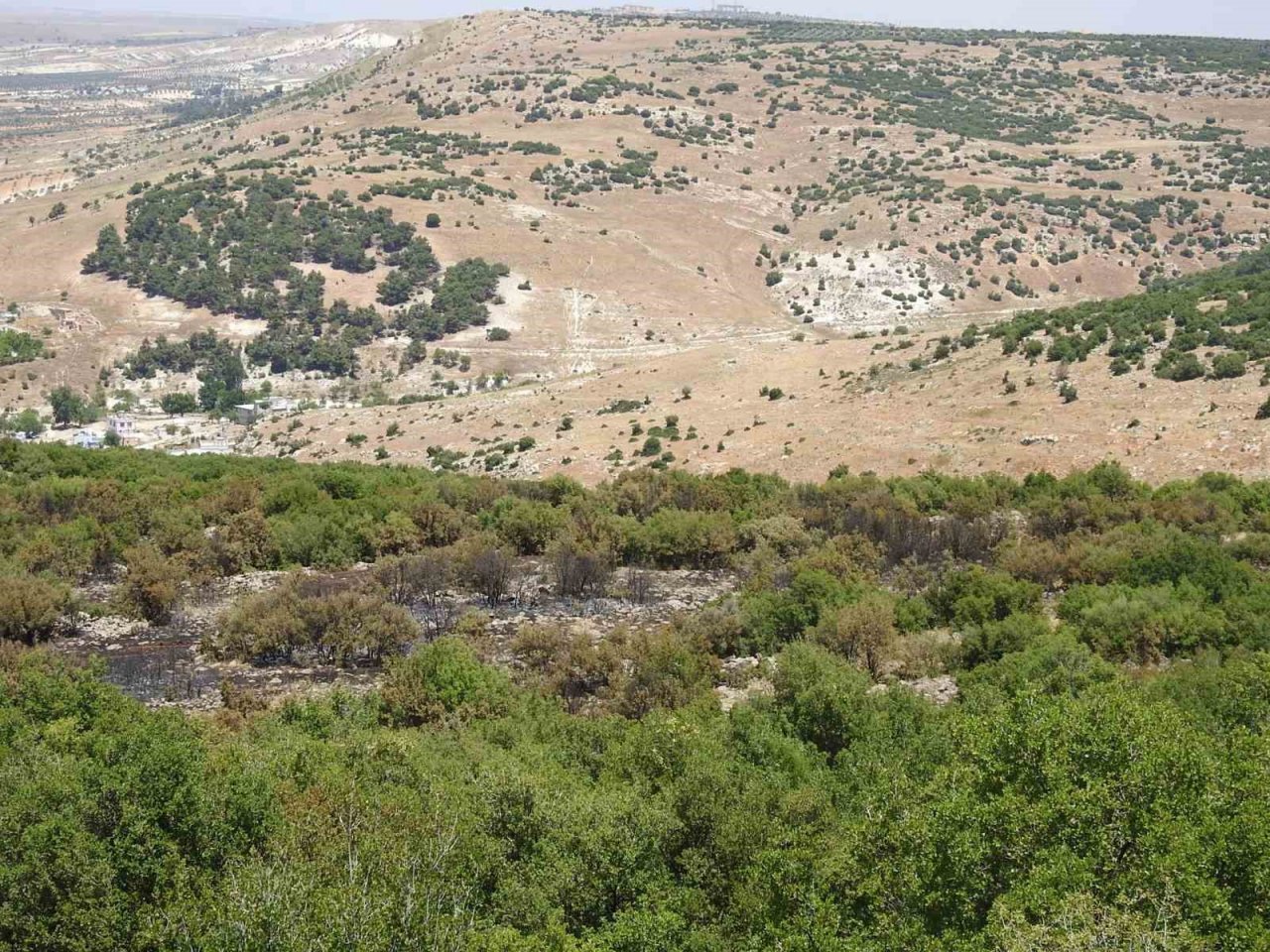 Kilis’teki orman yangınında 20 dönüm arazi kül oldu