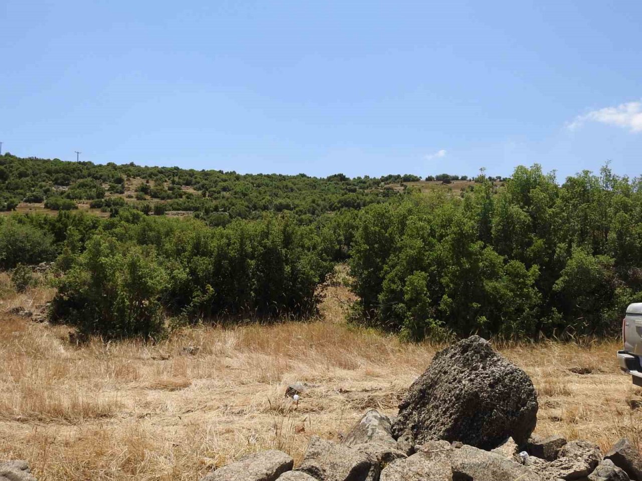 Kilis’teki orman yangınında 20 dönüm arazi kül oldu