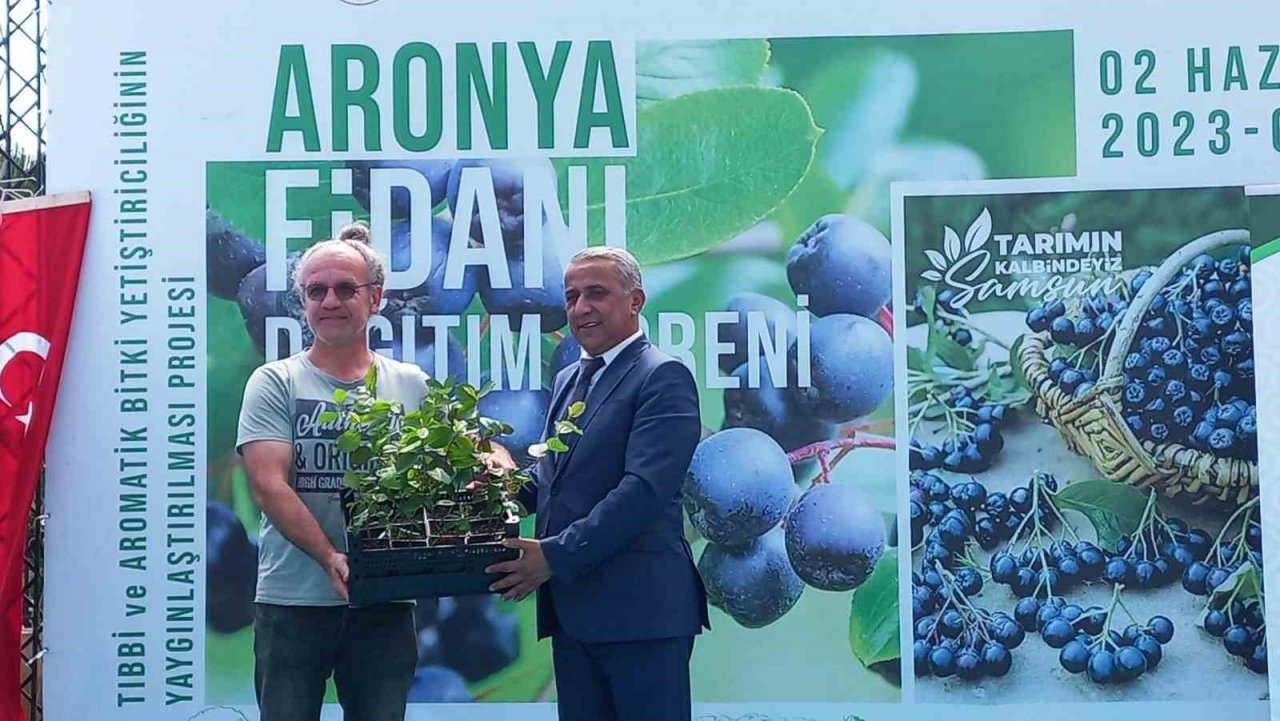 Üreticilere ‘aronia’ fidanı dağıtıldı