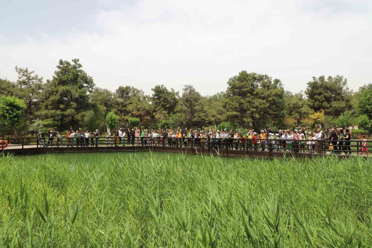 Öğrenciler, doğayı resmetti