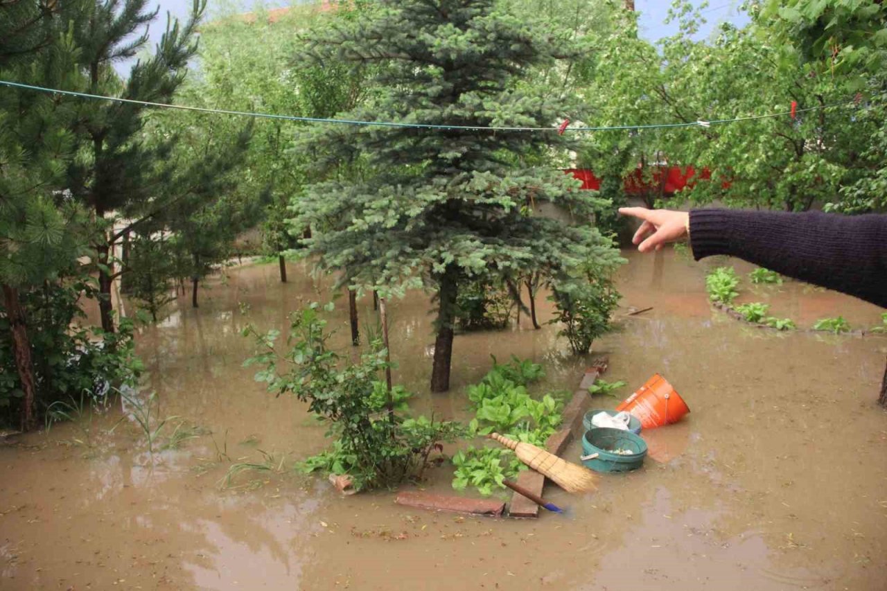 Sele aldırış etmeden oyunlarına devam ettiler