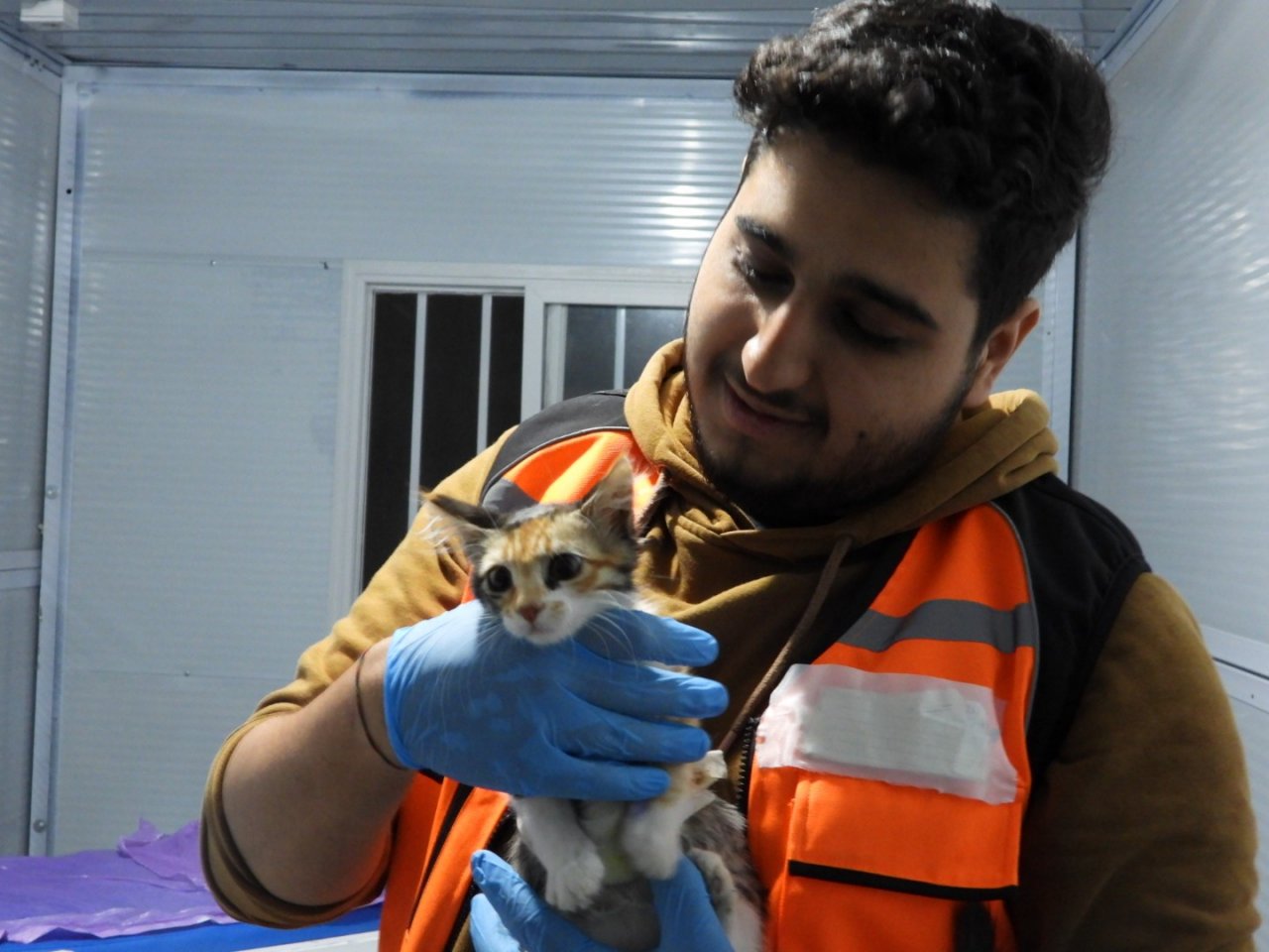 Deprem mağduru hayvanları gönüllü olarak tedavi ediyor