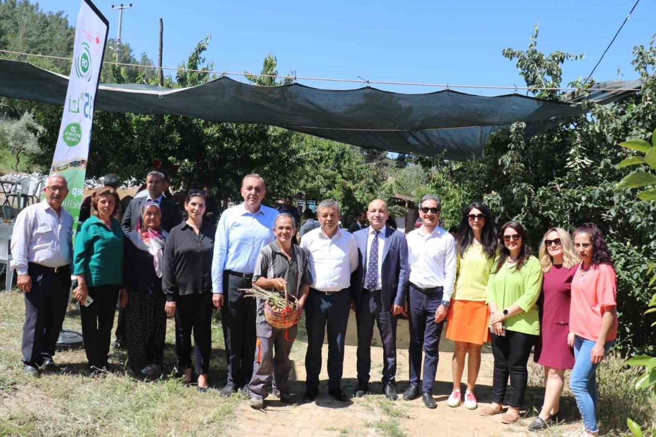 Buca’da salep hasadı yapıldı