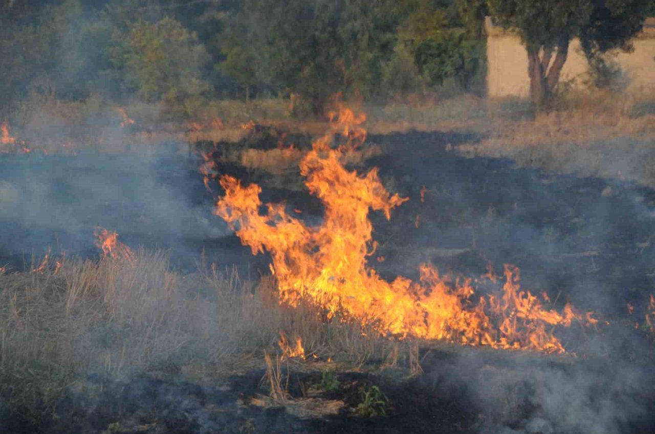Tekin: “Anız yakmak hem çevre hem de toprak için zararlı”