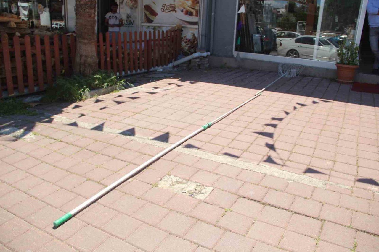 Elektrik teline konan papağanı kurtarmak isteyen gençten acı haber