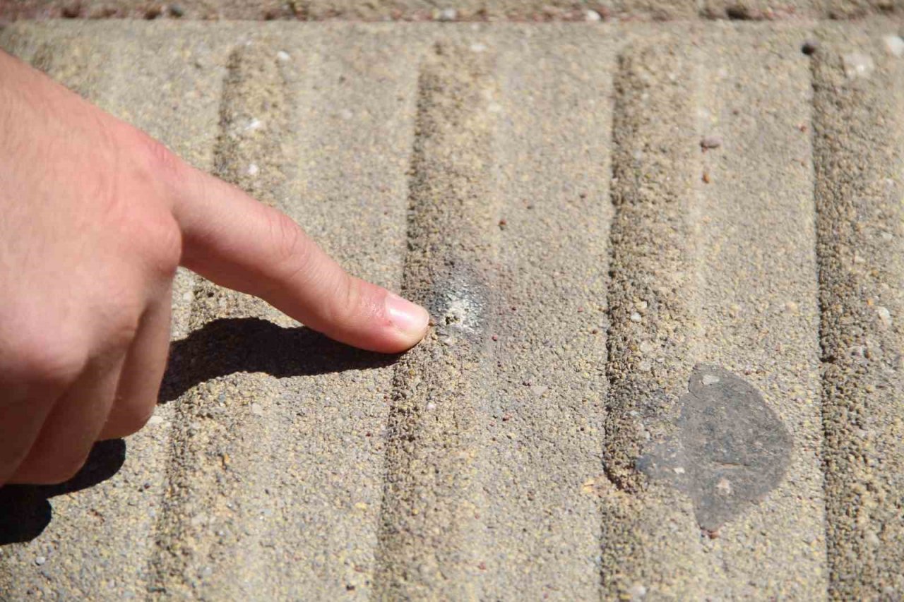 Elektrik teline konan papağanı kurtarmak isteyen gençten acı haber