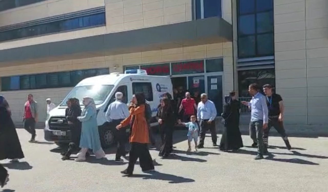 Elektrik teline konan papağanı kurtarmak isteyen gençten acı haber