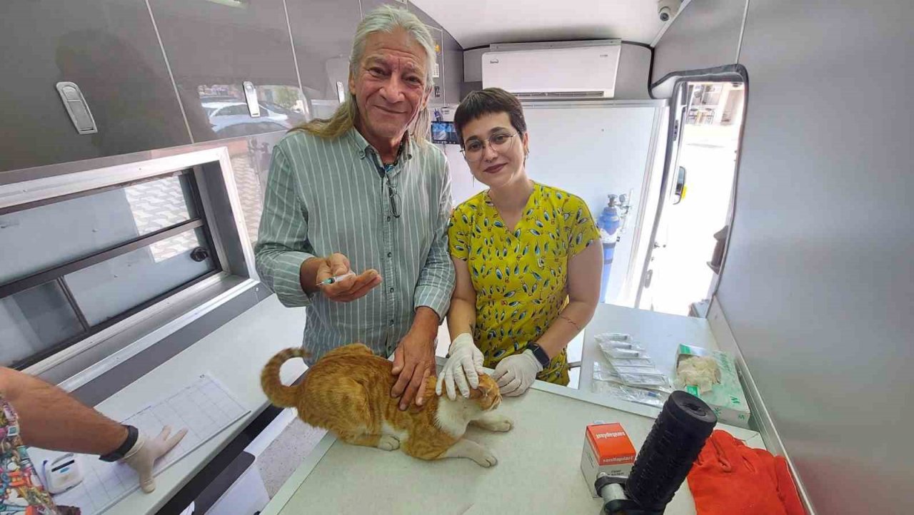 Belediye, sokak hayvanları için çalışmaya devam ediyor