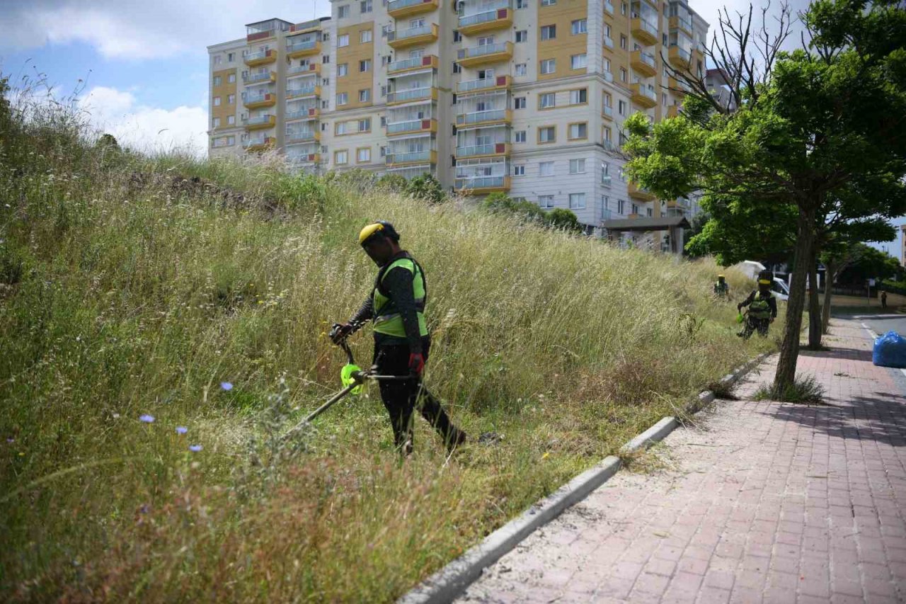 Kavşaklar mevsimlik çiçeklerle güzelleşiyor