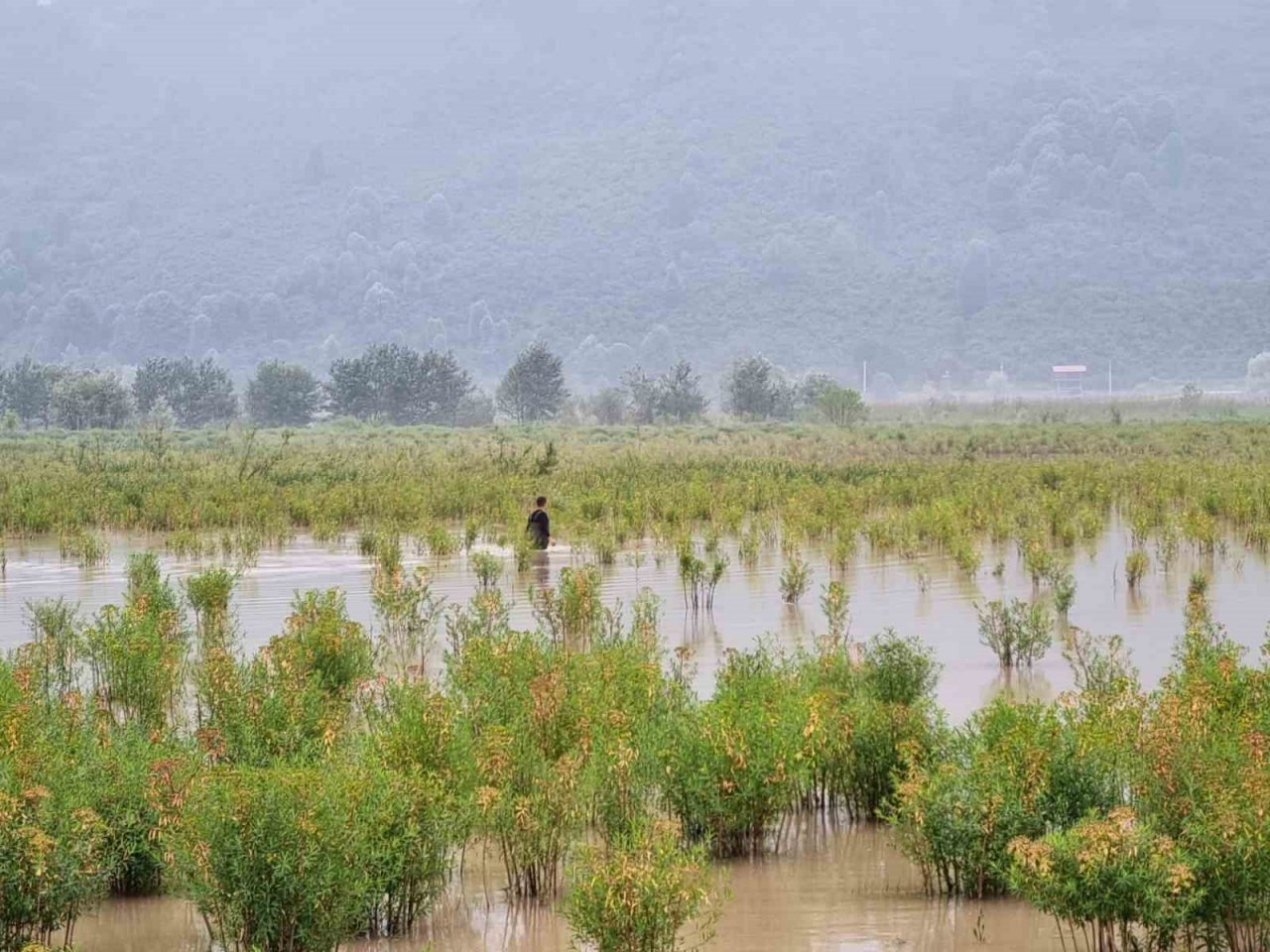 Yasağı dinlemeyip göle ağ atmışlar