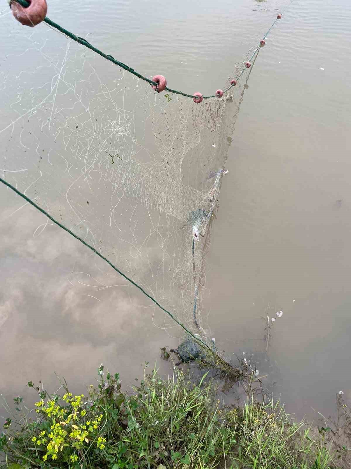 Yasağı dinlemeyip göle ağ atmışlar