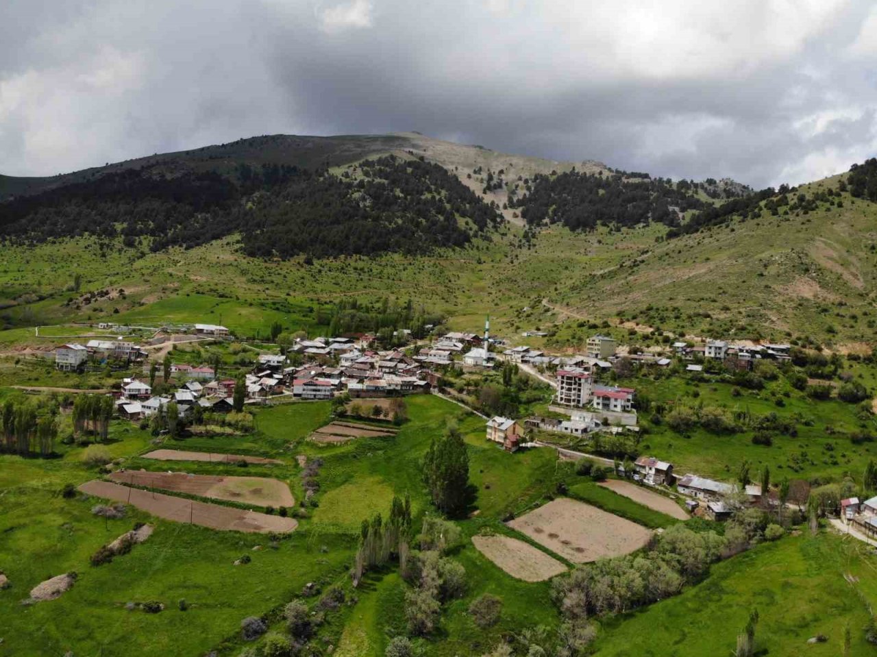 Çekirgelerin istila ettiği köyde vatandaşların mağduriyeti sürüyor