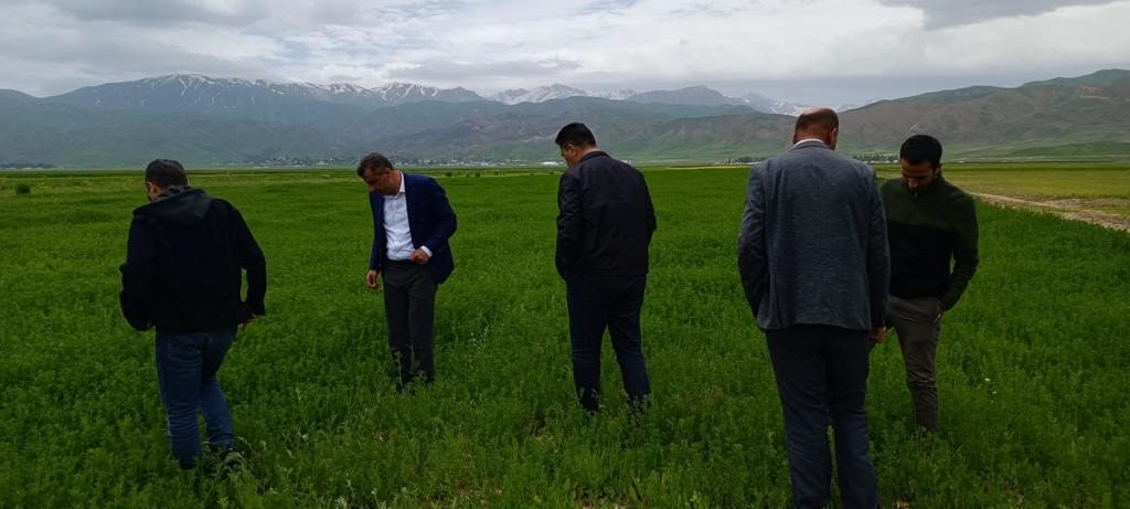 Yüksekova’da çekirge sürvey çalışması