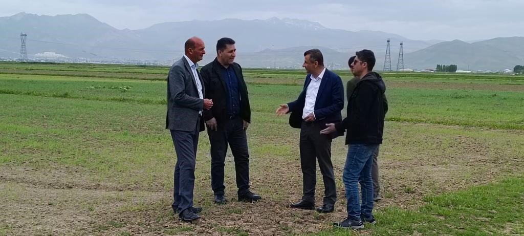 Yüksekova’da çekirge sürvey çalışması