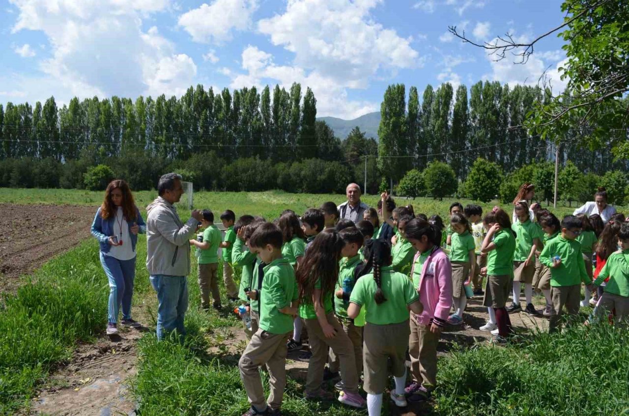 Minik eller fidanları toprakla buluşturdu