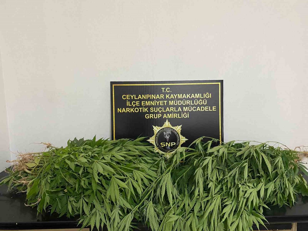 Uyuşturucudan yakalanan kadının eski kocası da uyuşturucudan yakalandı