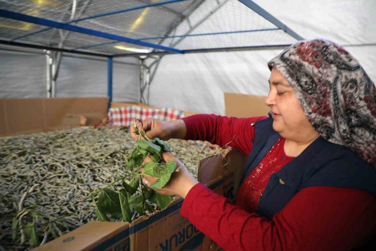 İpekböcekçiliği üretiminde yüzler gülüyor