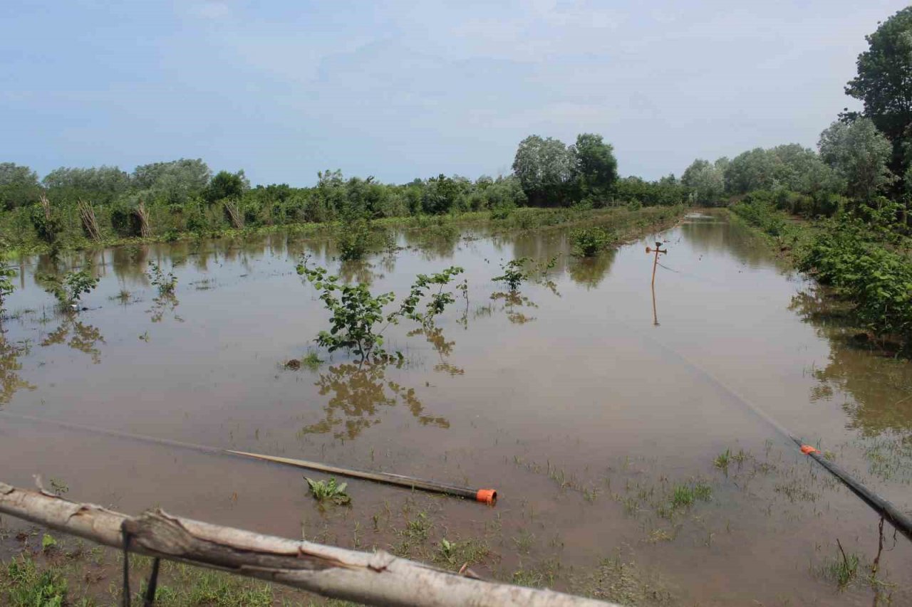 Çarşamba’yı sel aldı